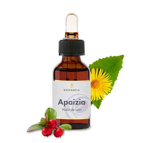 Apaizia